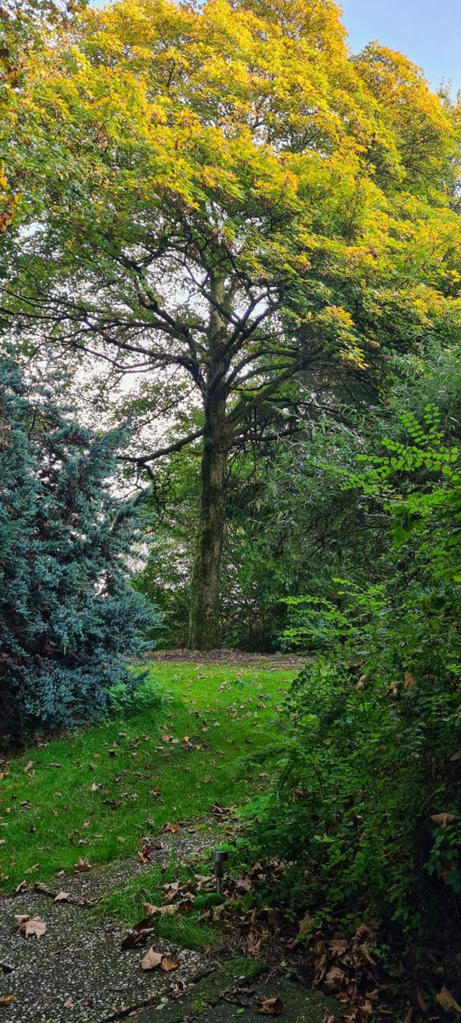 Onstwedde Rust En Stilte In De Natuur מראה חיצוני תמונה